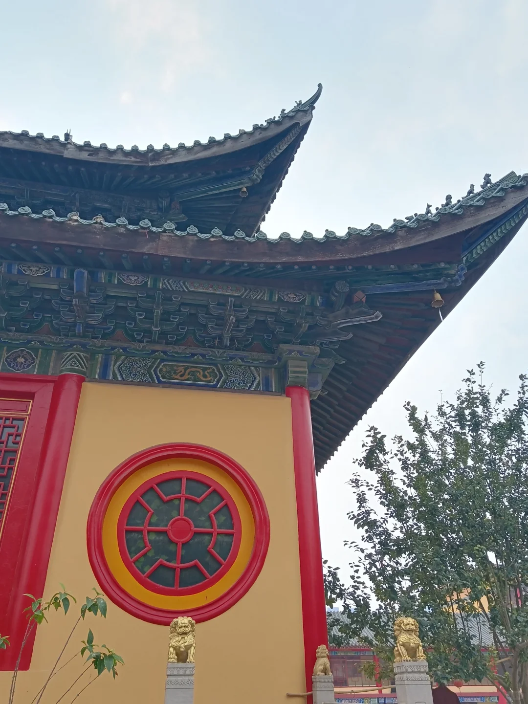 千年古刹📍大乘玉佛寺