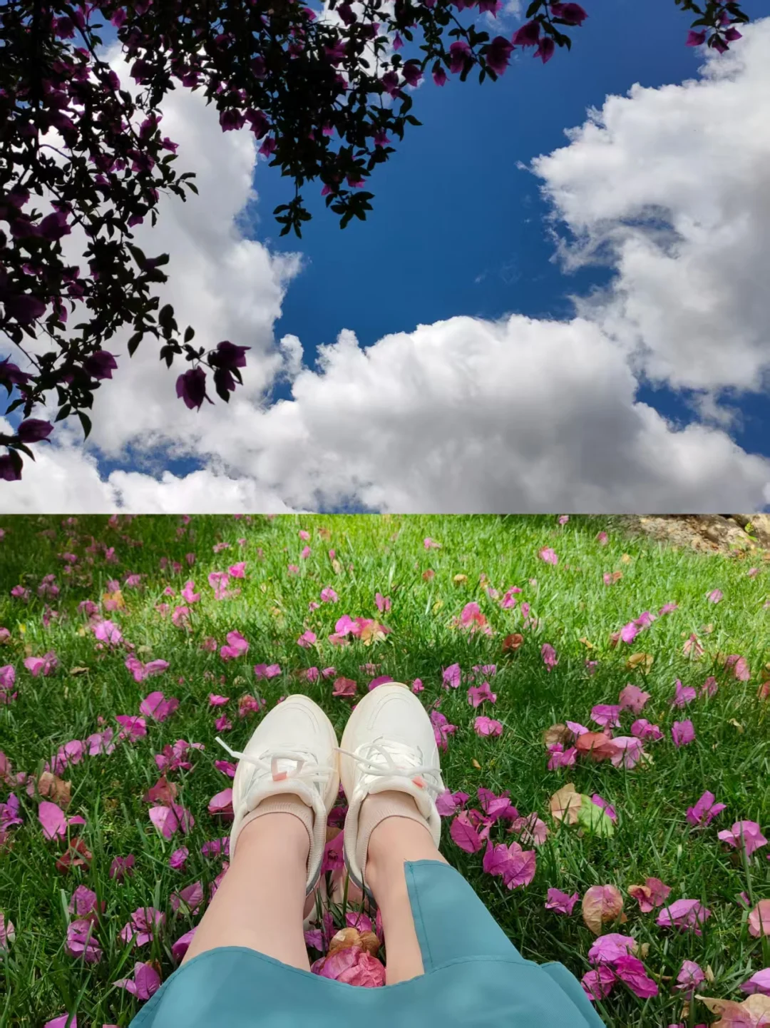 弥勒~不想去网红景点，就来这山顶森林书吧