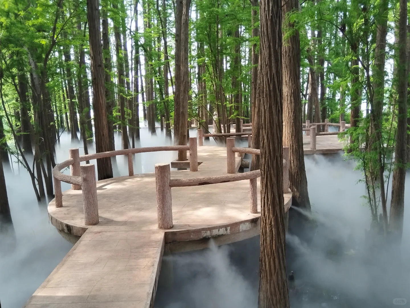 仿佛人间仙境,简直太美了