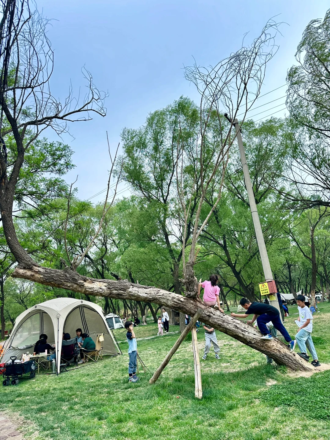 哇噻🤩邯郸的后花园，一不小心闯入绿野仙踪