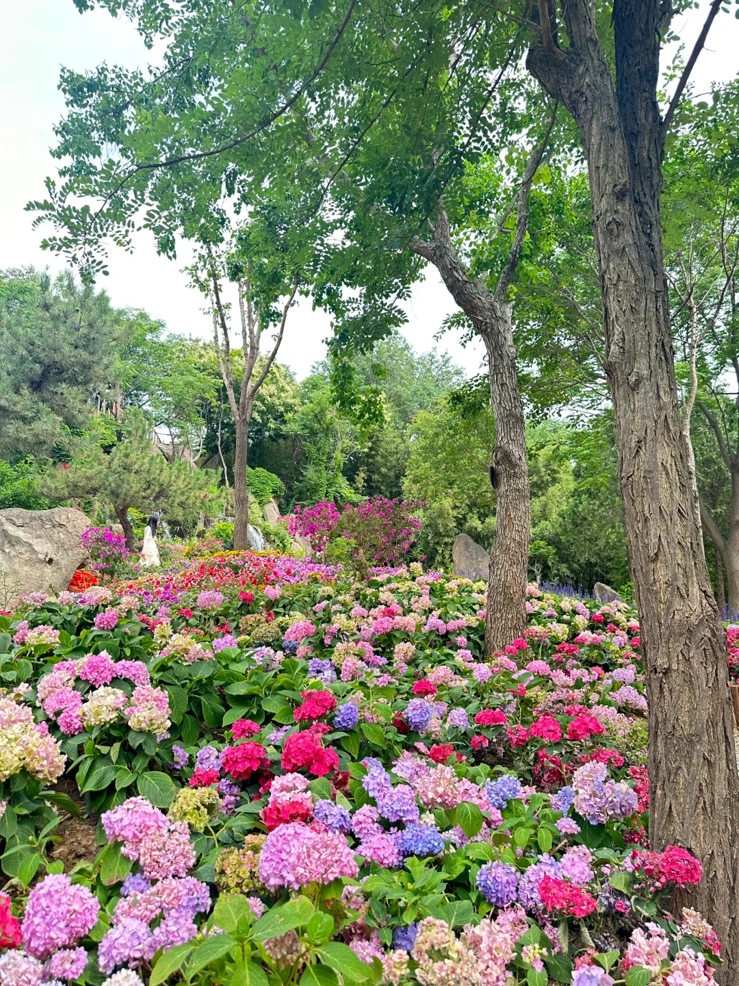 沂蒙云瀑洞天 | 临沂旅游景点游玩