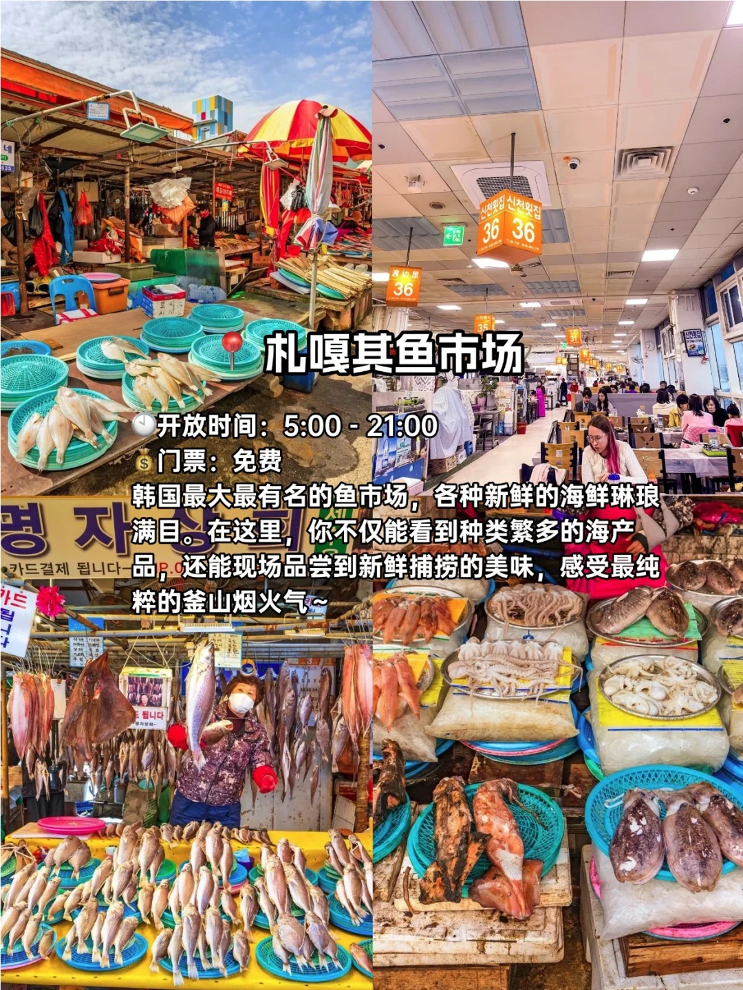 韩国地陪 | 釜山必去九大景点！不踩雷版