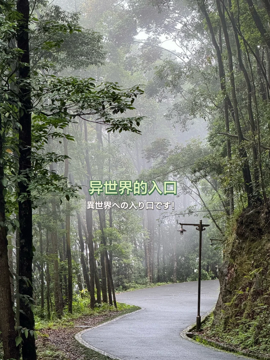 灵通山悬空寺🛕｜当代🐮🐴一有空就旅游攻略