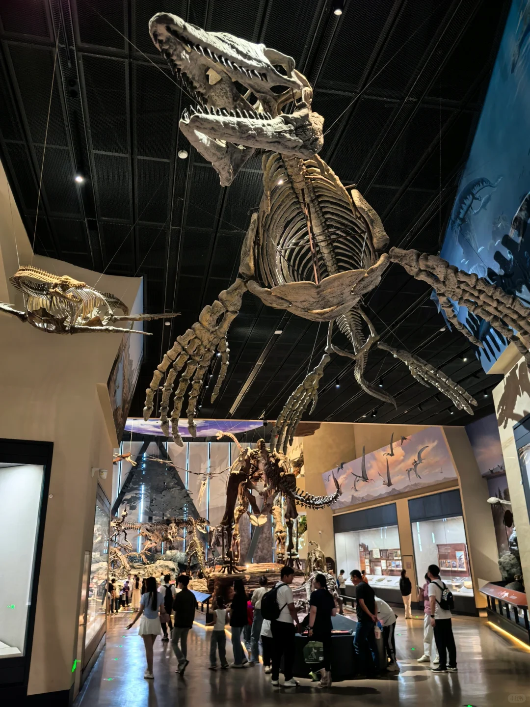 这么近那么美，周末到河北保定出差！