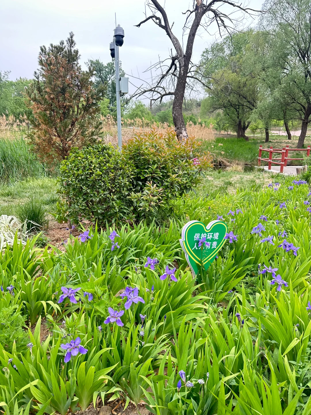 哇噻🤩邯郸的后花园，一不小心闯入绿野仙踪