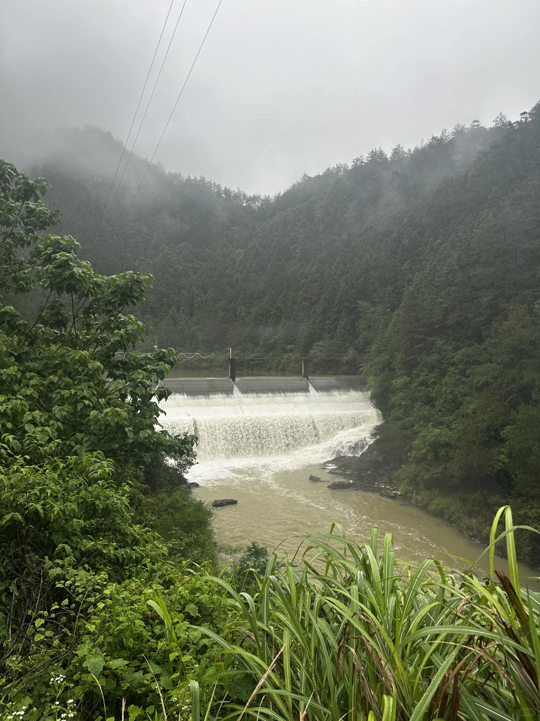 烟雨江南，没有选择去商业门票的景区。
