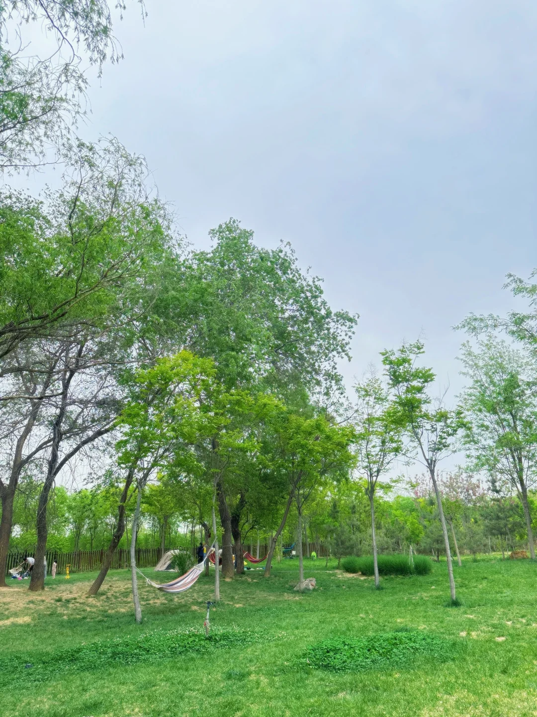 哇噻🤩邯郸的后花园，一不小心闯入绿野仙踪