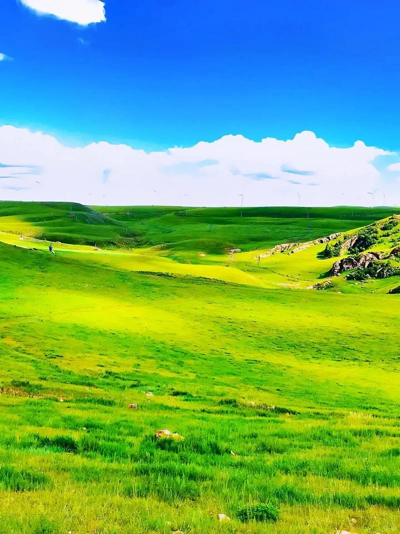 乌兰察布遛娃宝藏地，超全攻略来啦