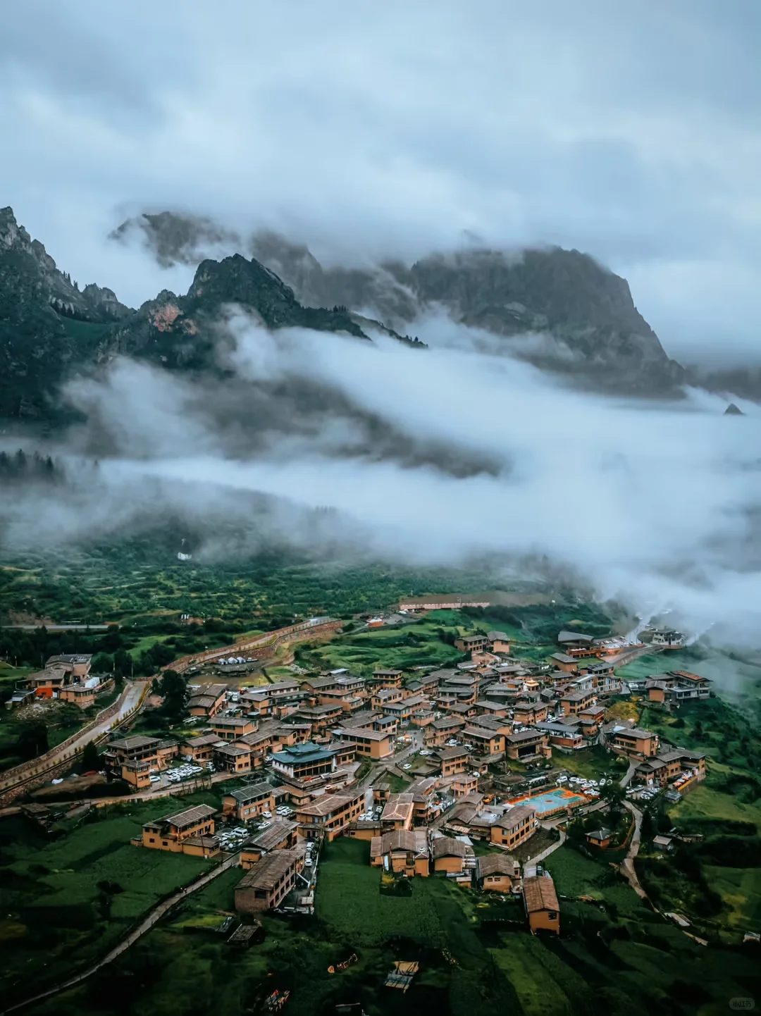 放弃新疆了❗这个夏天去20℃的小众甘南避暑