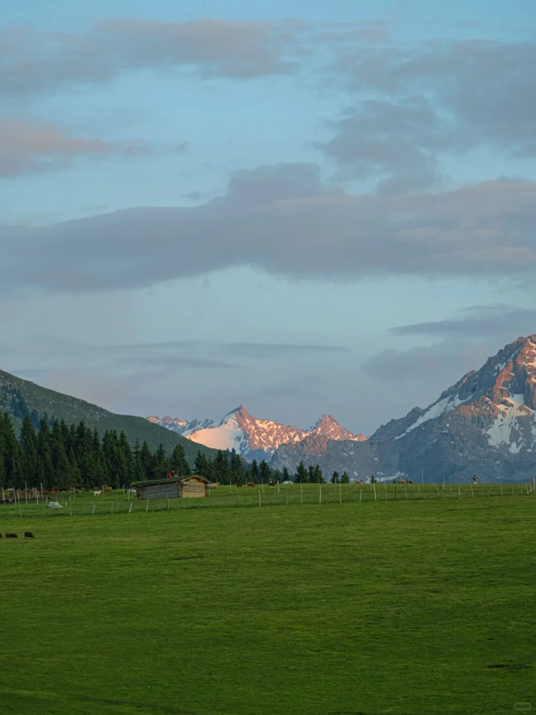🚐闯进立体草原的童话世界!美到失语!🤪