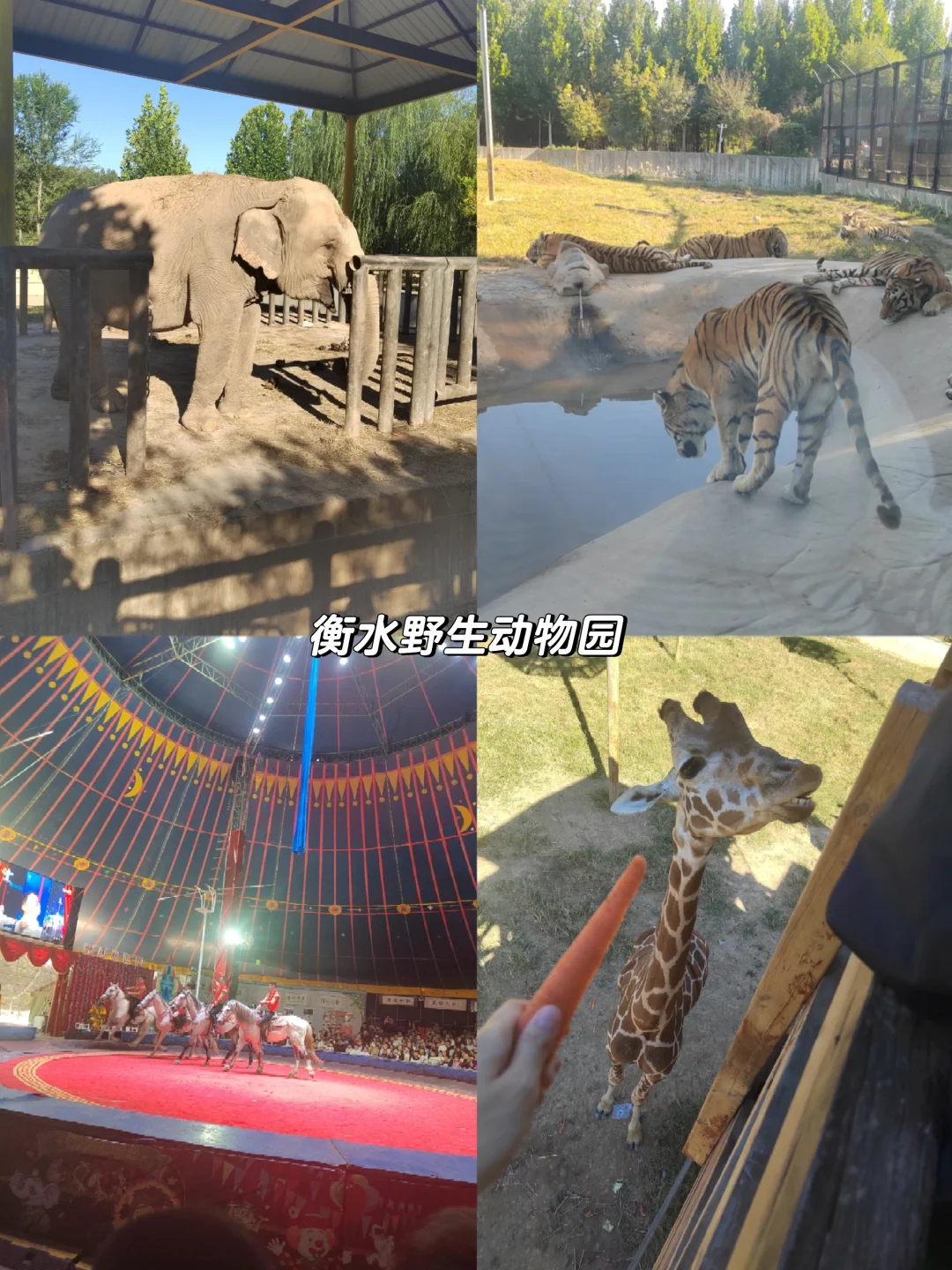 周末出逃北京丨衡水人均100一日游攻略❗️