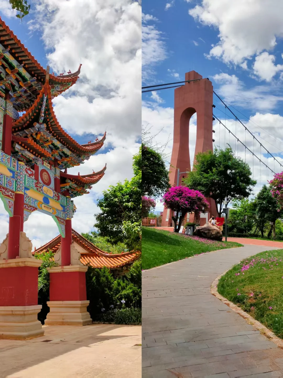 弥勒~不想去网红景点，就来这山顶森林书吧