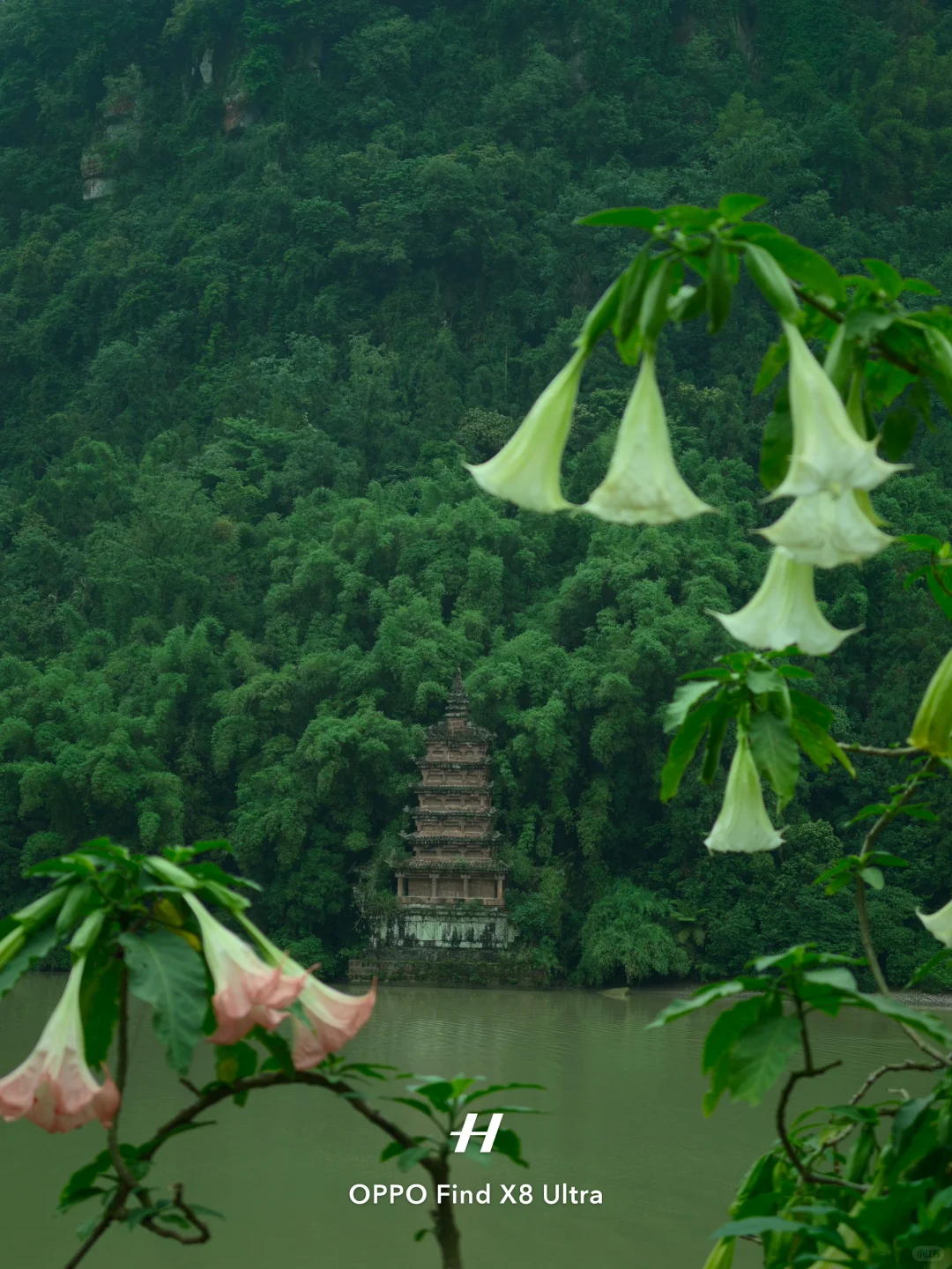 在荒废的景区，我寻到了千塔佛国