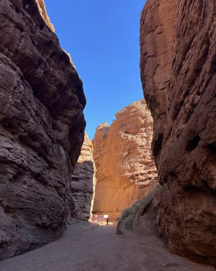 4A 景区全体验！平山湖越野骆驼探险天堂