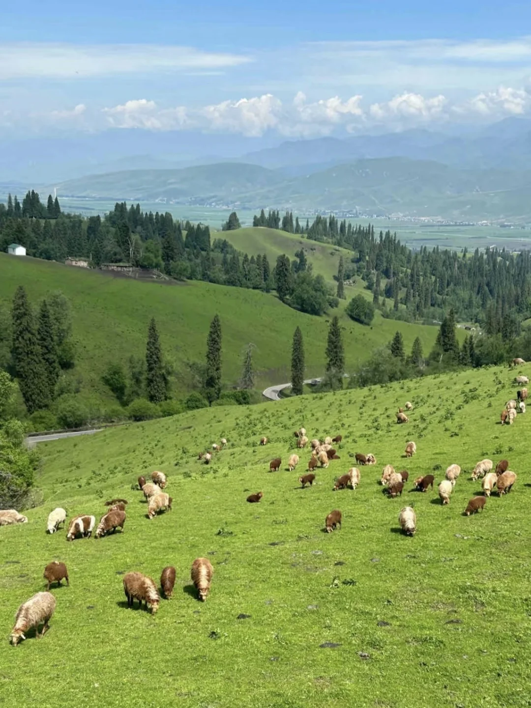 在新疆📍拍到了我的人生live,太美了。。