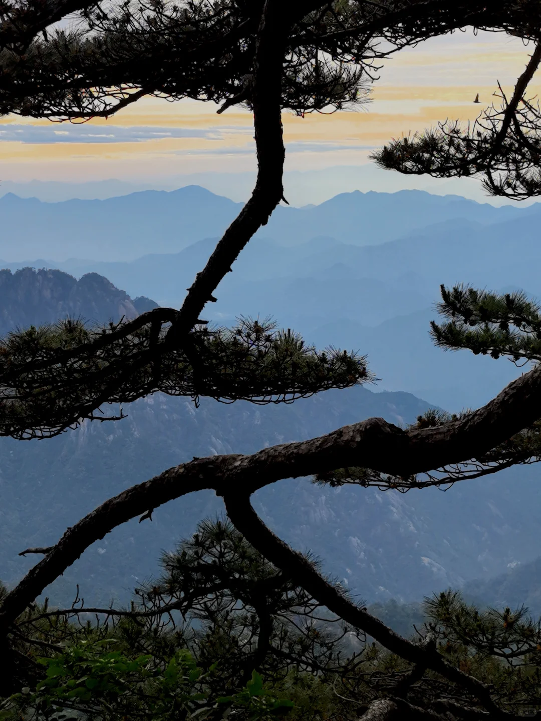黄山很美,但想给景区管理一些建议