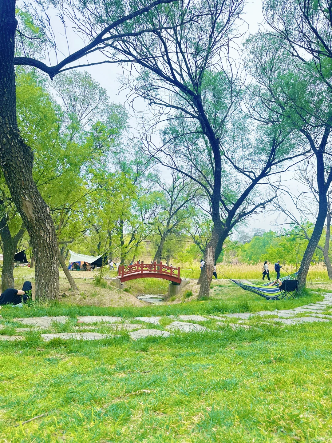 哇噻🤩邯郸的后花园，一不小心闯入绿野仙踪