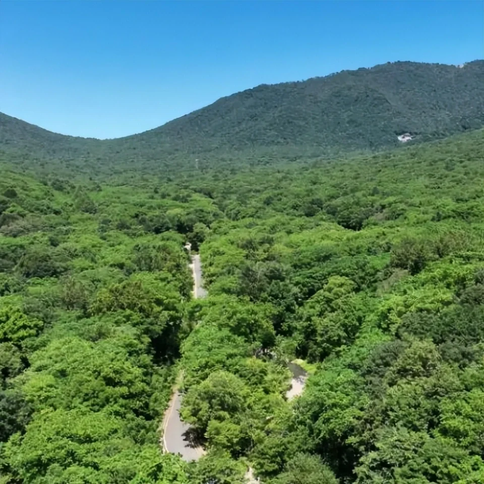 吉林冰雪秘境！冷门景点美到窒息🔥