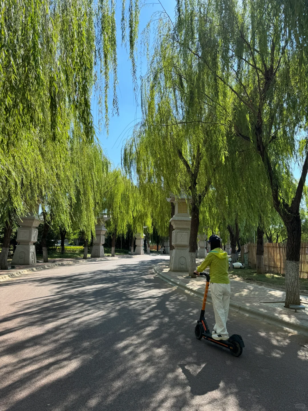 泰安这个免费景点也太安逸啦!