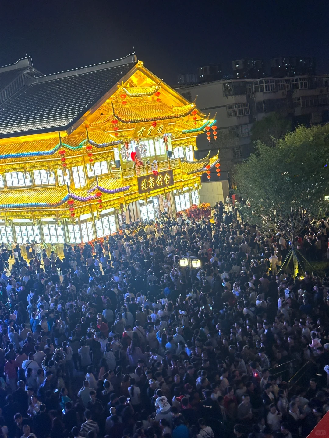 5·2邯郸道实况，黄金楼一如既往火爆🔥