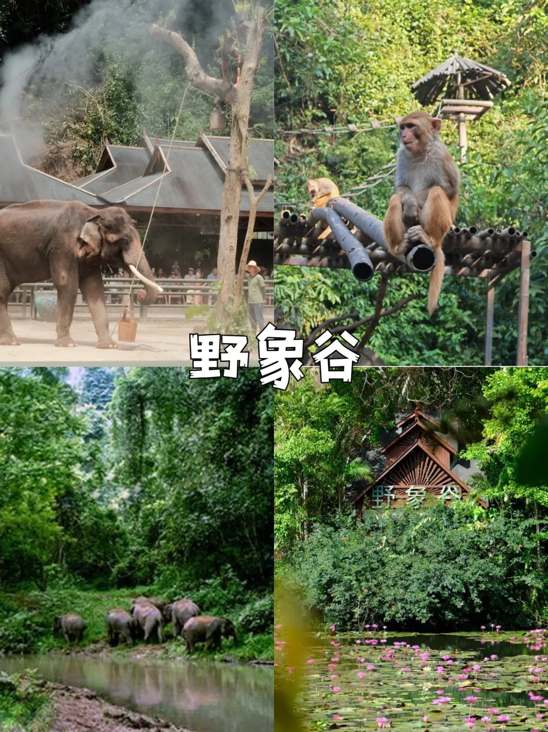 云南亲子游保姆级旅游攻略