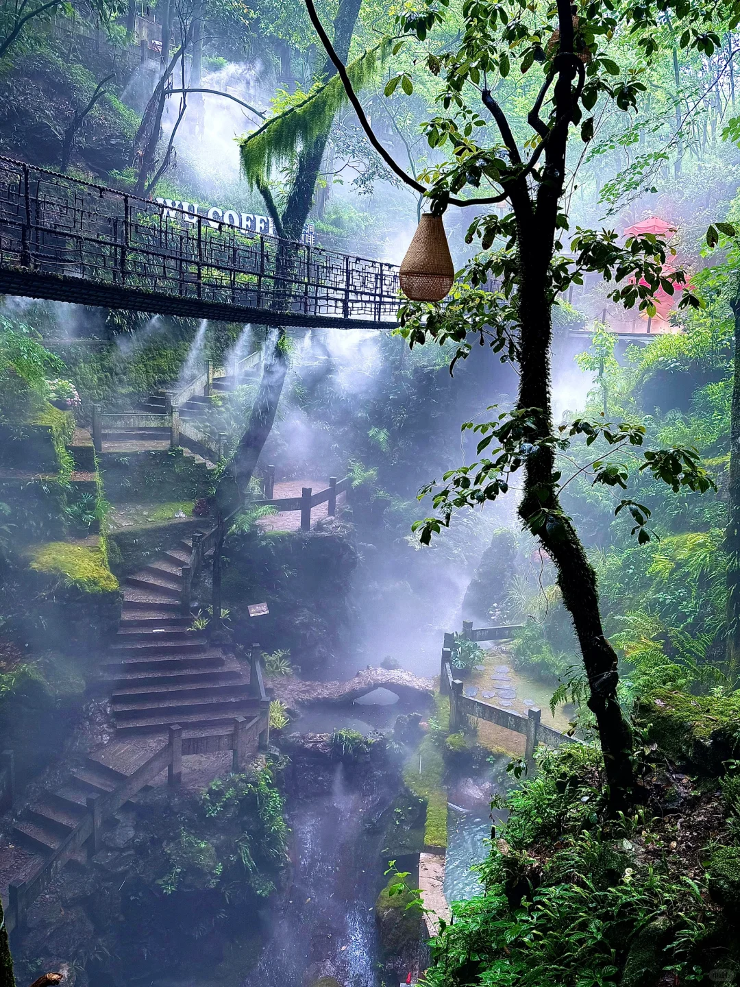 这也太美了！杭州仙桥洞的绿野仙踪🍃