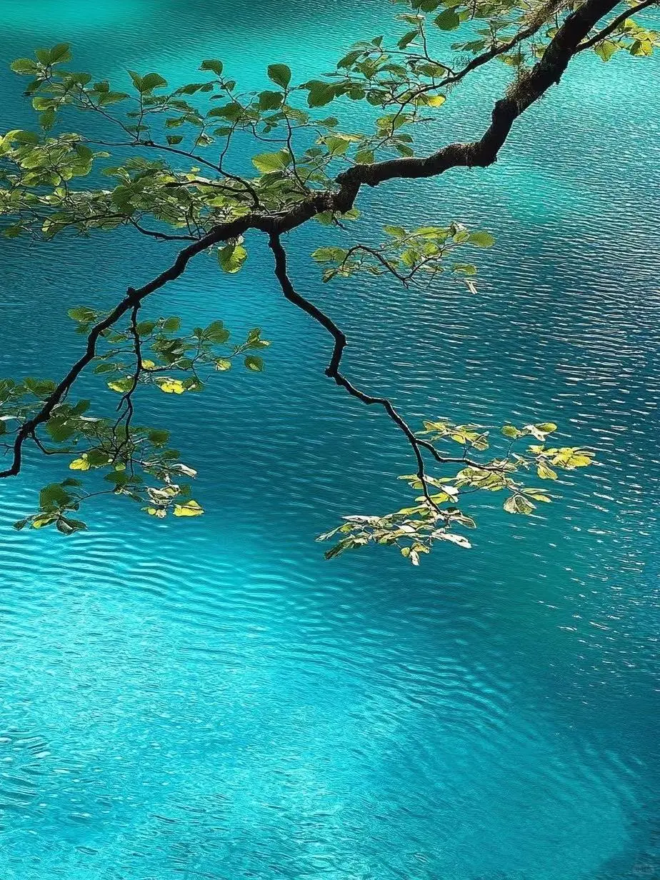 6.2📍九寨沟崩溃已回😭，来听我说实话