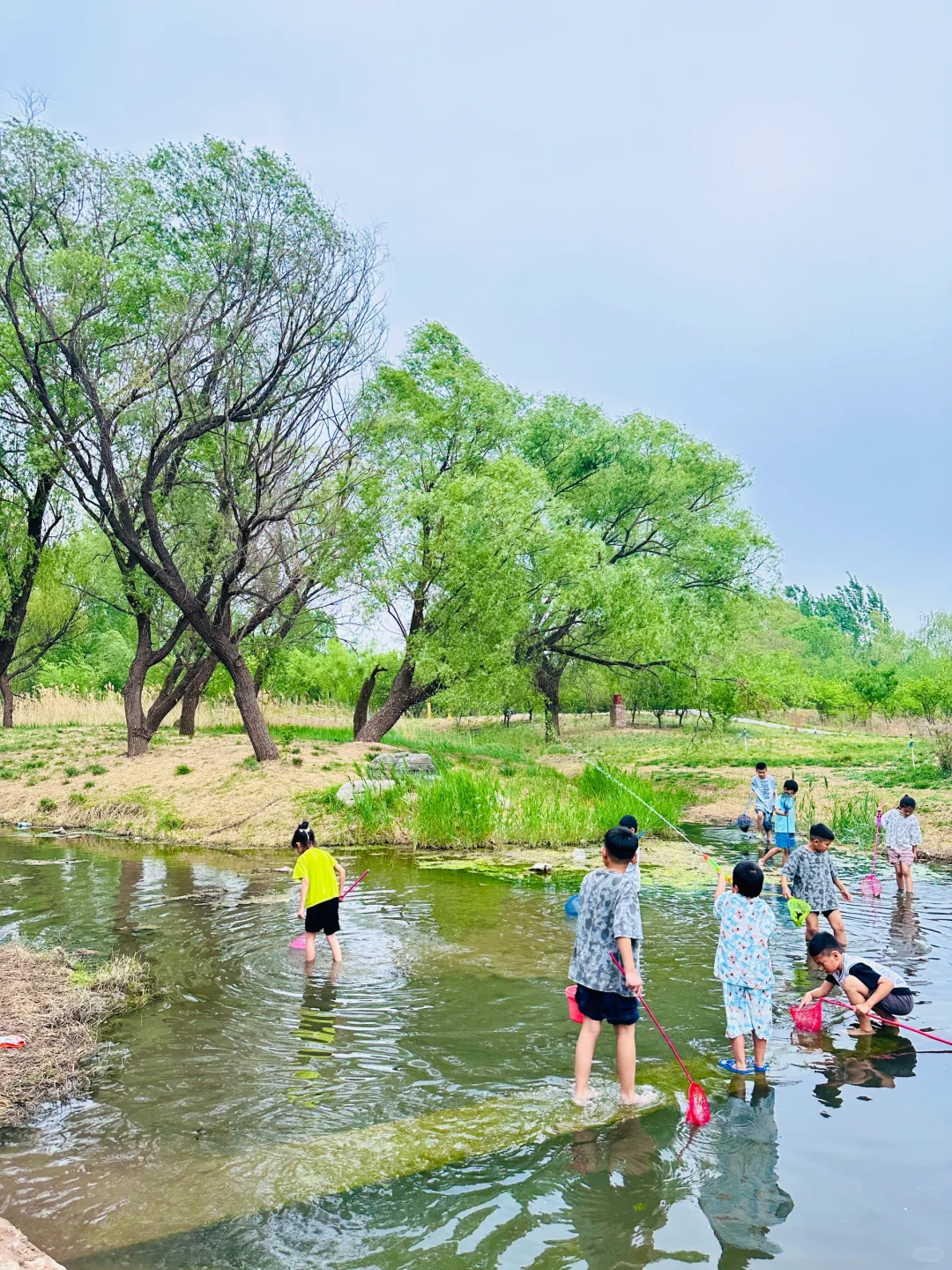 哇噻🤩邯郸的后花园，一不小心闯入绿野仙踪