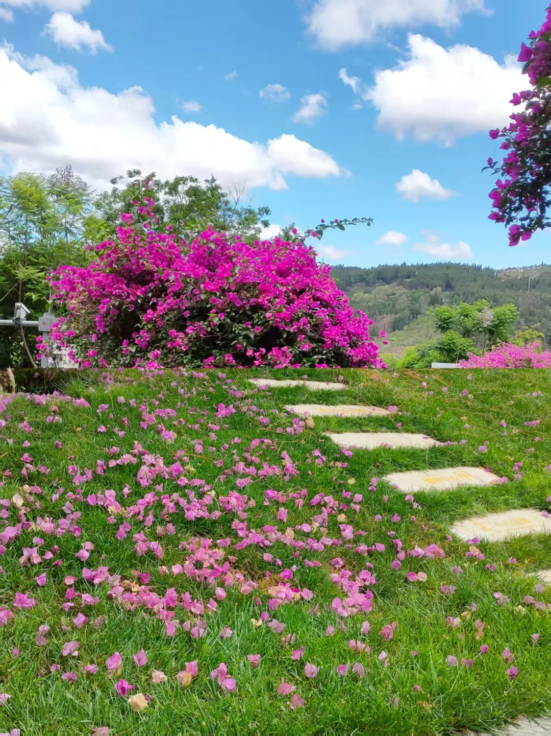 弥勒~不想去网红景点，就来这山顶森林书吧