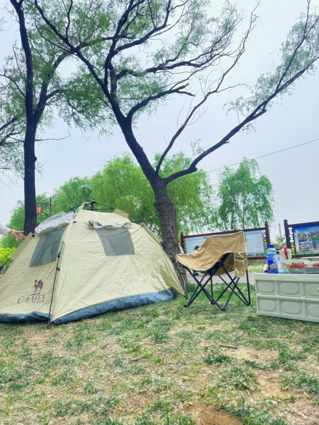 哇噻🤩邯郸的后花园，一不小心闯入绿野仙踪