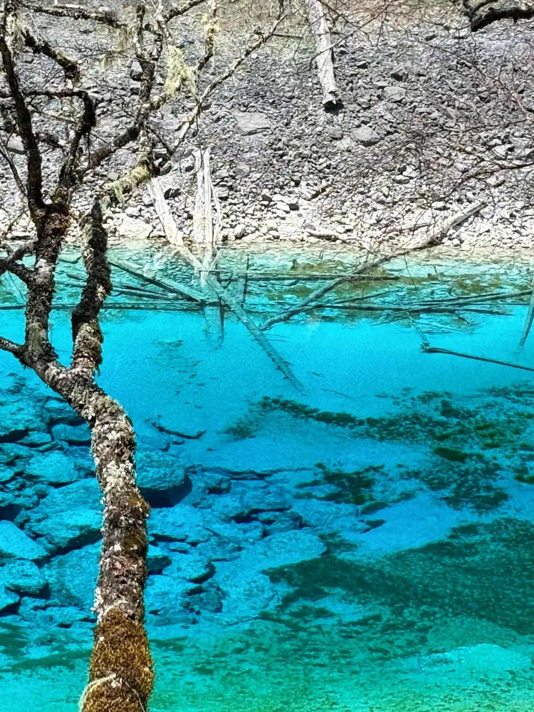 6.2📍九寨沟崩溃已回😭，来听我说实话