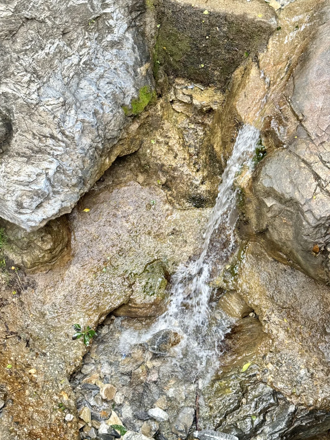 进山吸氧💚解锁小众景点云蒙山一日游攻略版