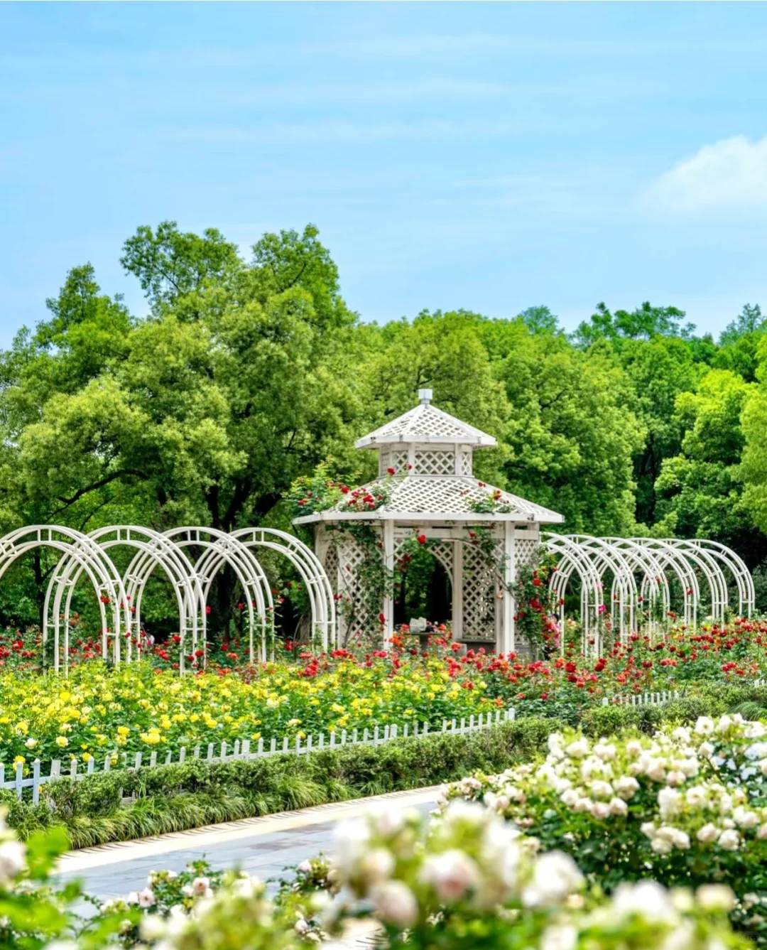 仿佛人间仙境,简直太美了