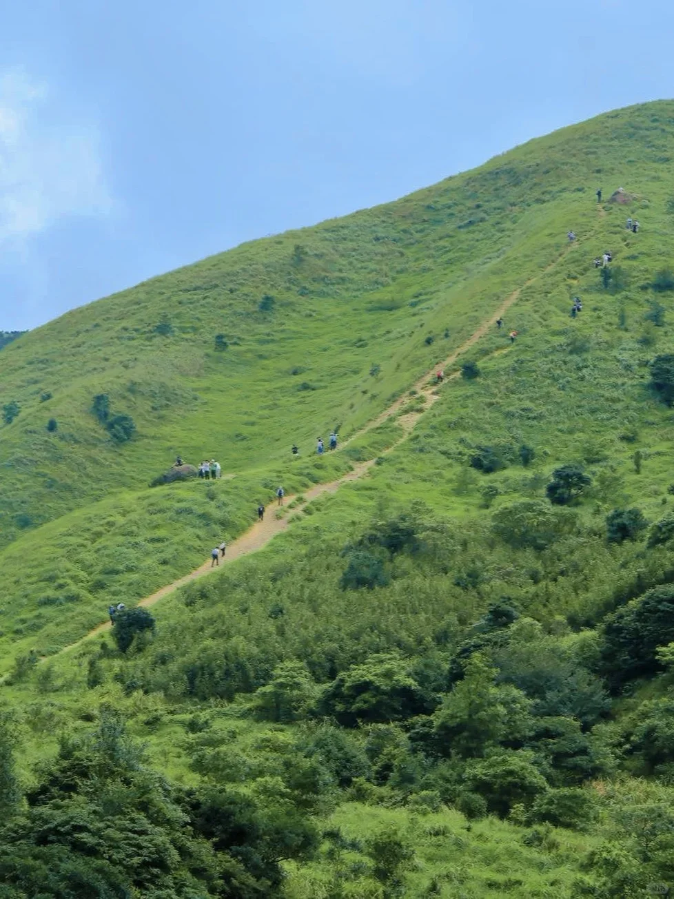 广州2.5h直达❗️朋友都以为我去了武功山