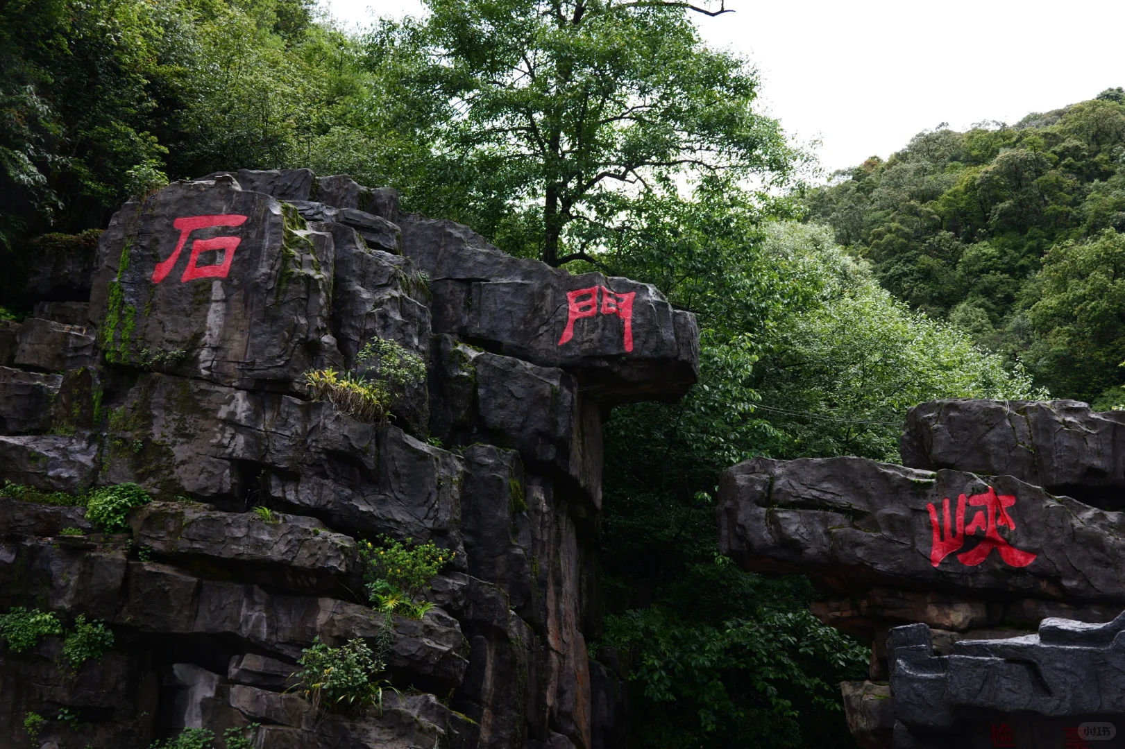 滇西南第一天,终于来到传说中的哀牢山