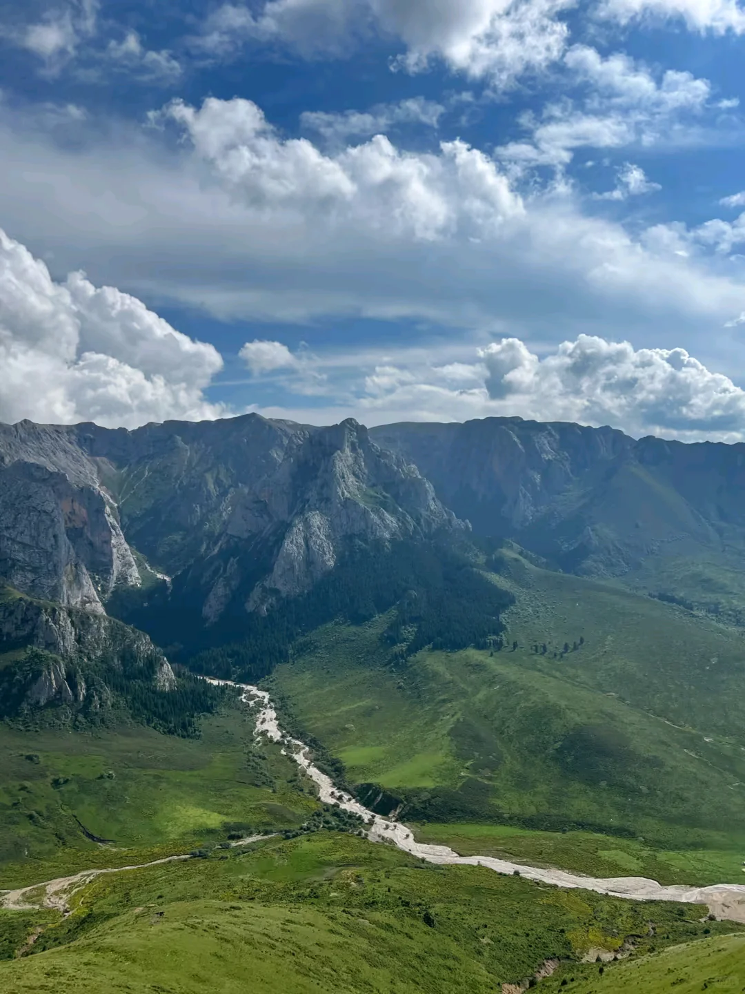 放弃新疆了❗这个夏天去20℃的小众甘南避暑