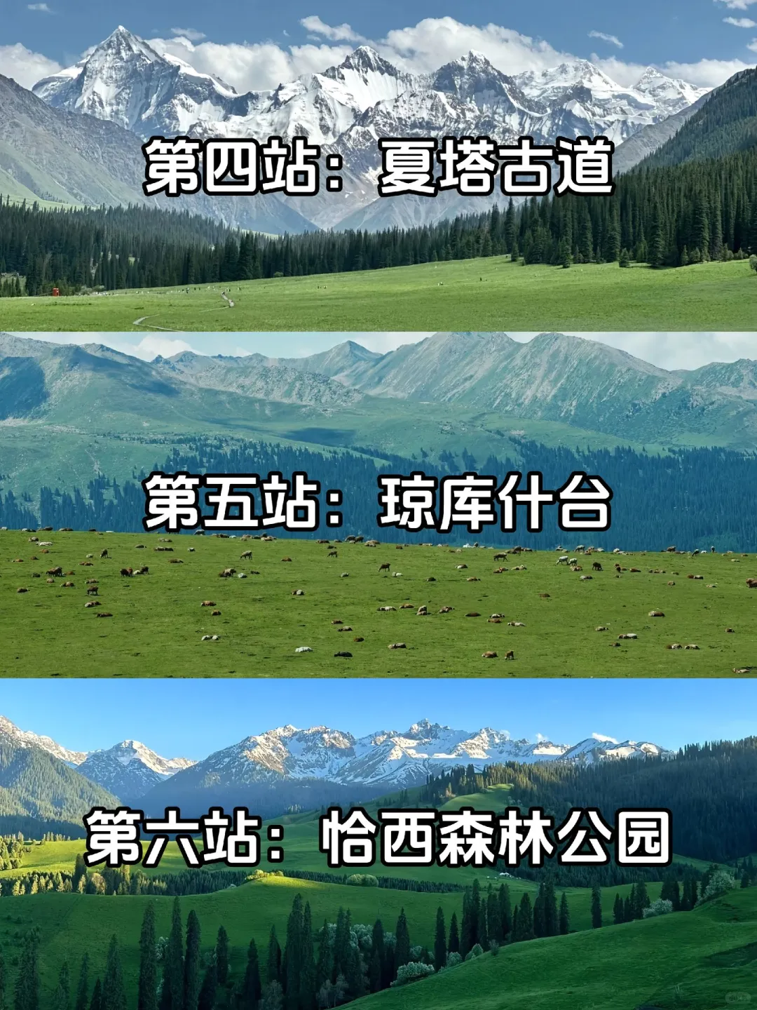 新疆伊犁环线有多少站 一篇文章告诉你