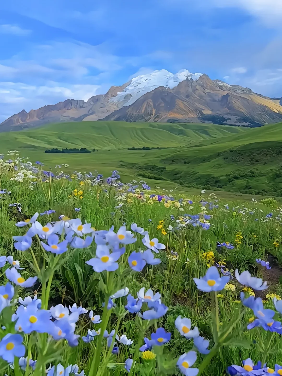 本以为瑞士很美了,直到我来到了夏天的川西