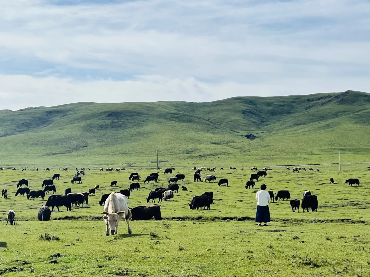 6000字的天水甘南兰州亲子自驾游攻略❗️