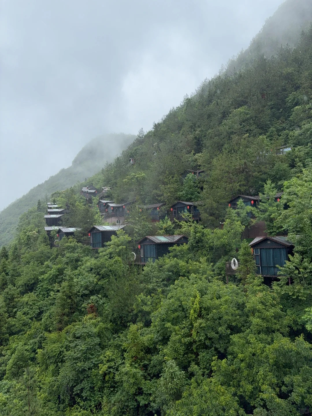 我也是出息了 当了一回警嫂混上了家属票