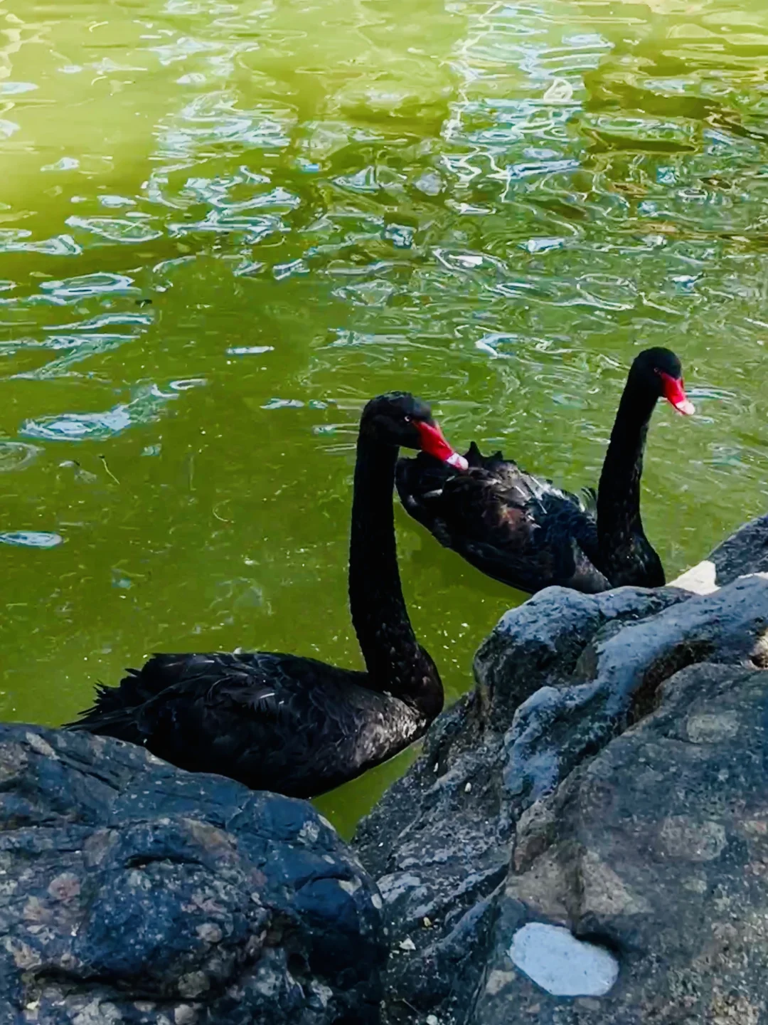 北方“小桂林”山海关燕塞湖攻略来了