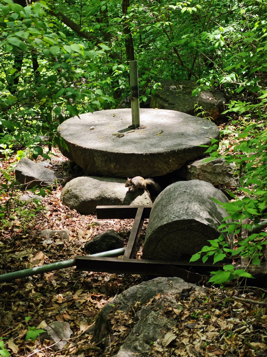 📍唐山·周边徒步日记⛰️ | 兴隆九龙潭