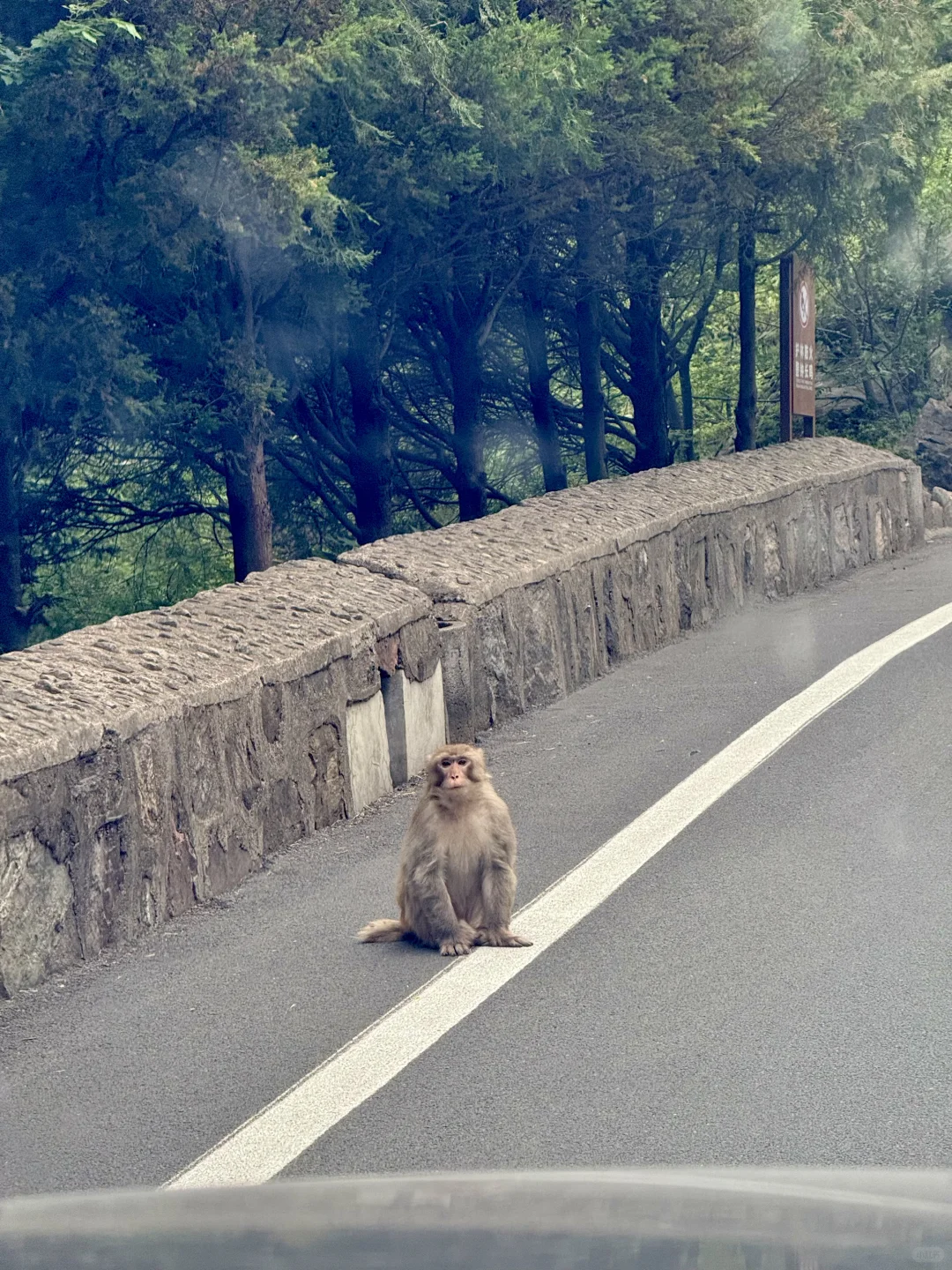 📍河南！新乡！我发现了太行山下的避世小院⛰️