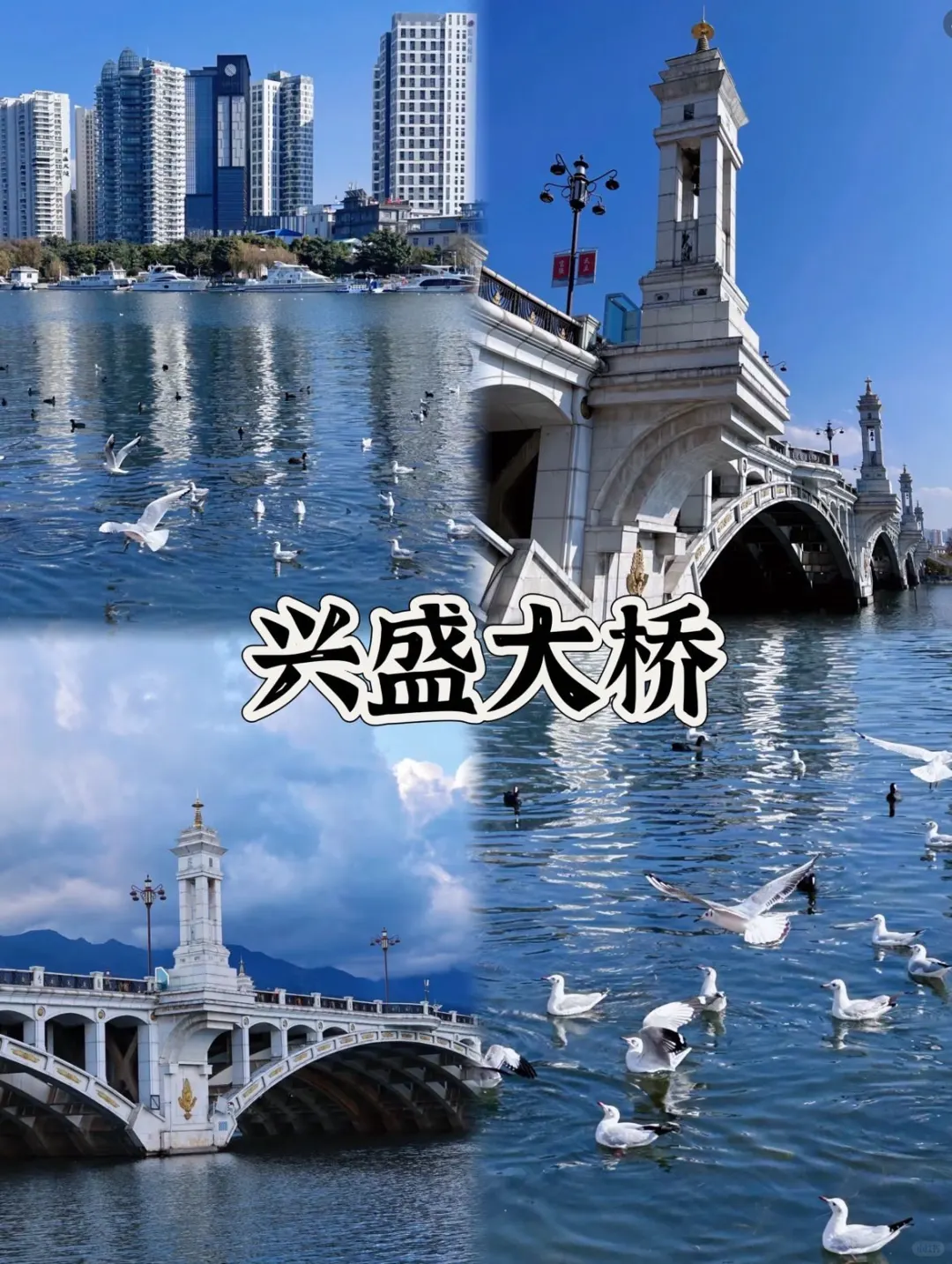 03女大📍大理/两日游不走回头路线攻略‼️