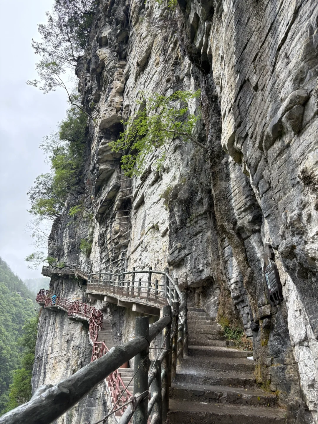 我也是出息了 当了一回警嫂混上了家属票