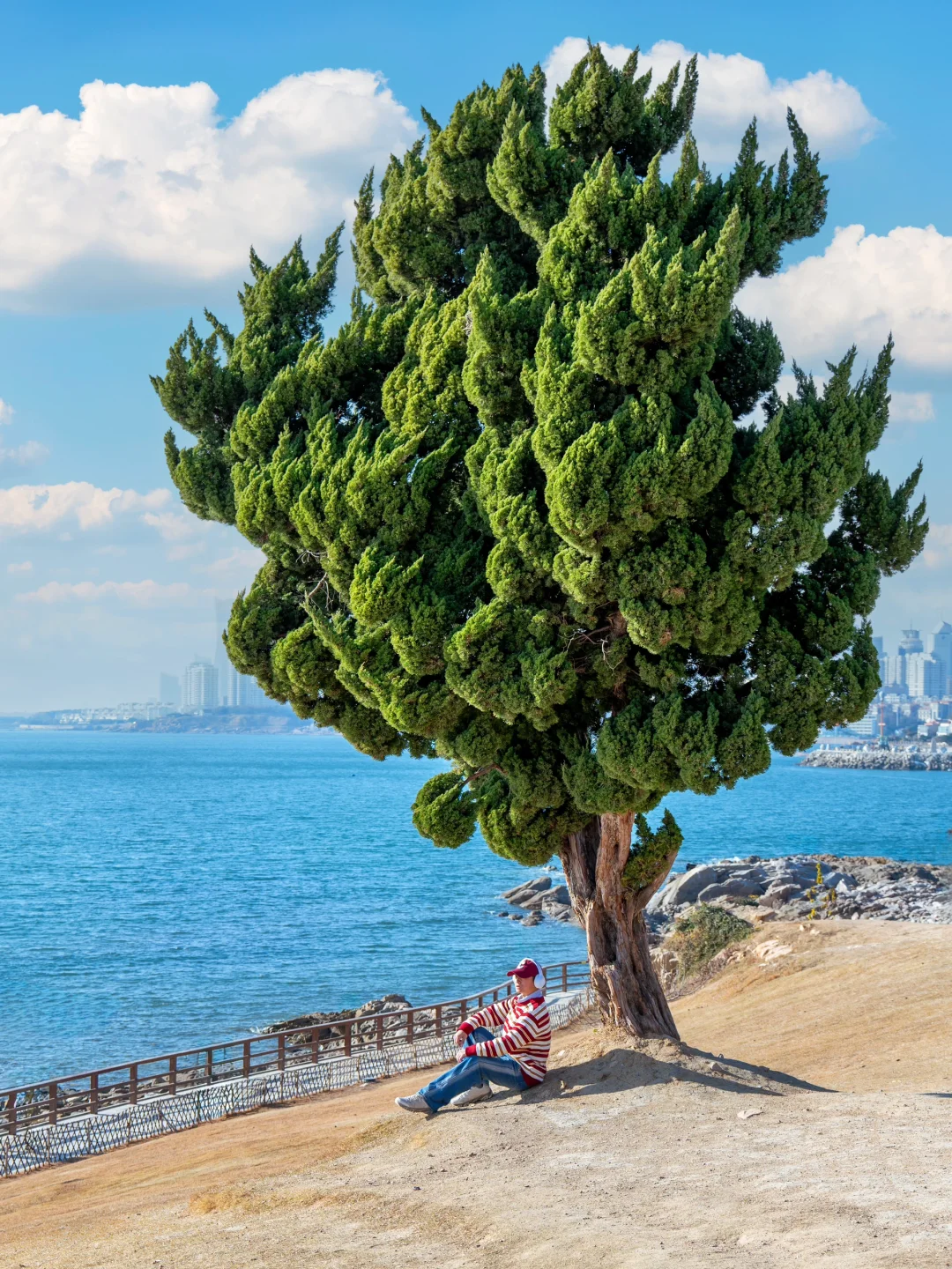 人生建议：拍完这1️⃣1️⃣个地方再离开青岛……