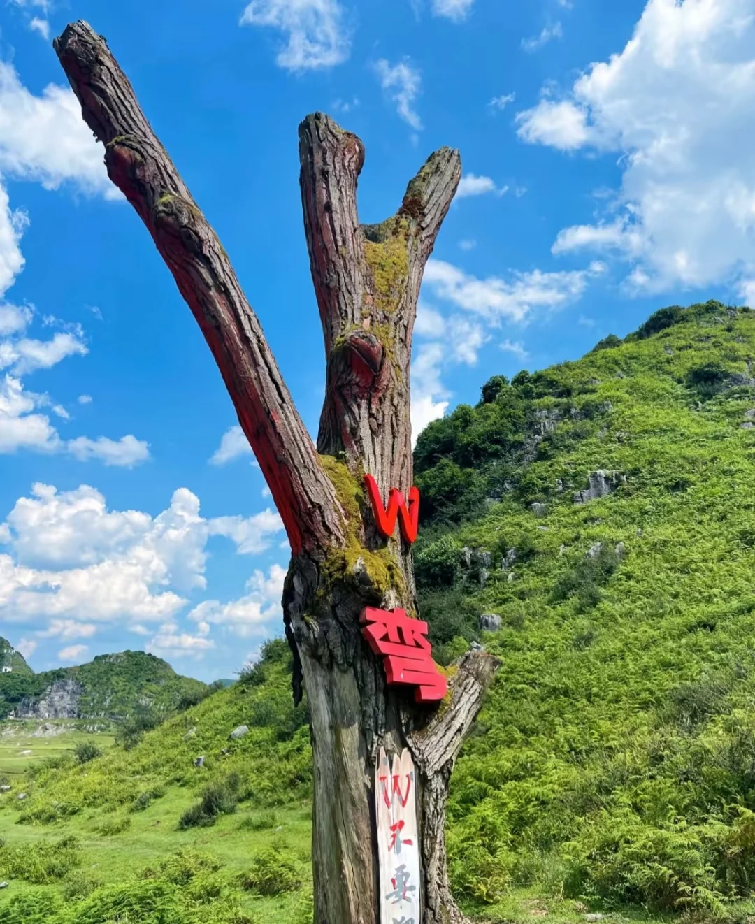 在贵州毕节,藏着一片媲美北疆的治愈天堂