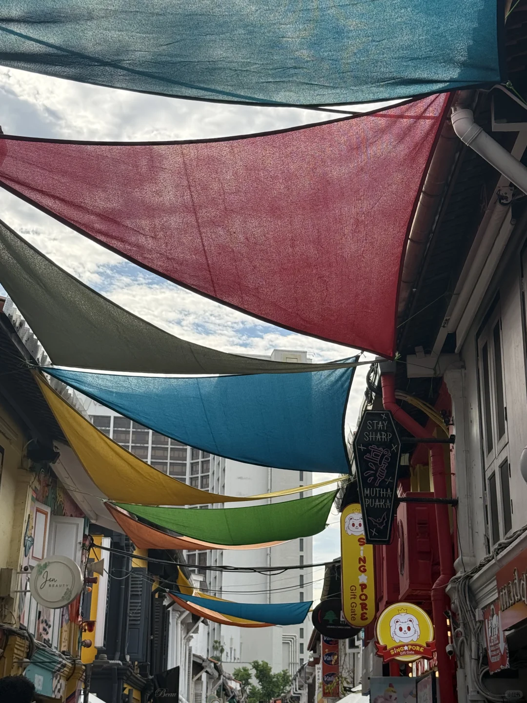 新加坡旅游攻略🇸🇬