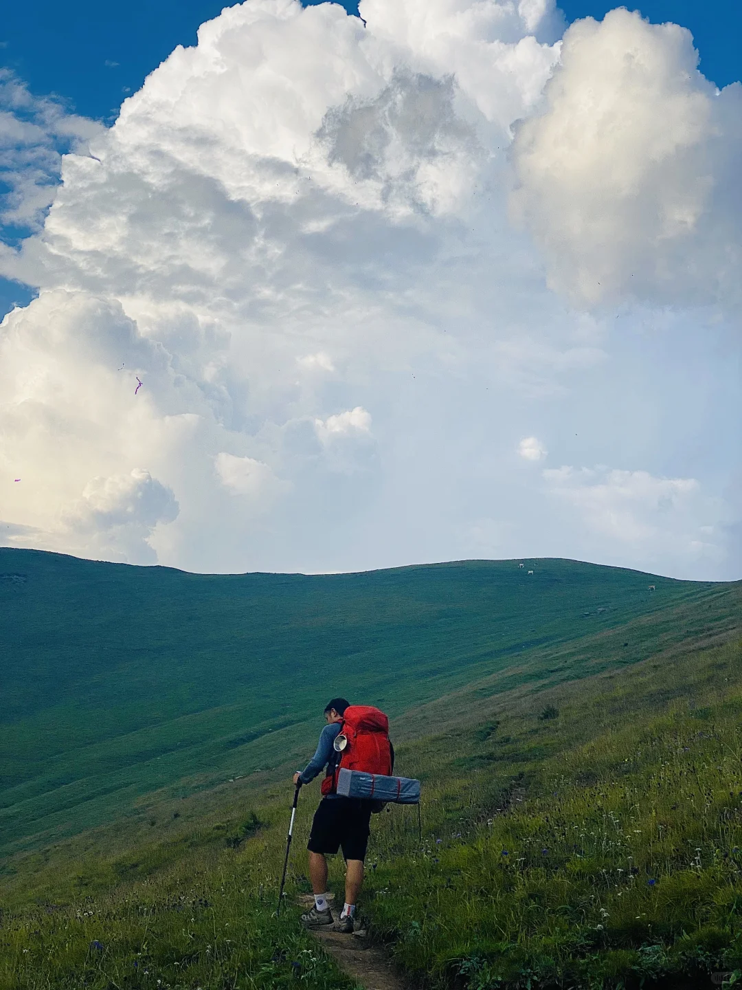📍五台山 “文殊菩萨的道场”