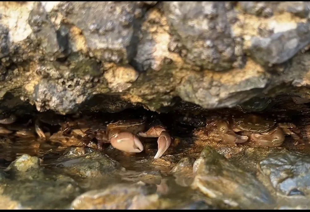 舟山旅游攻略,超详细!!!